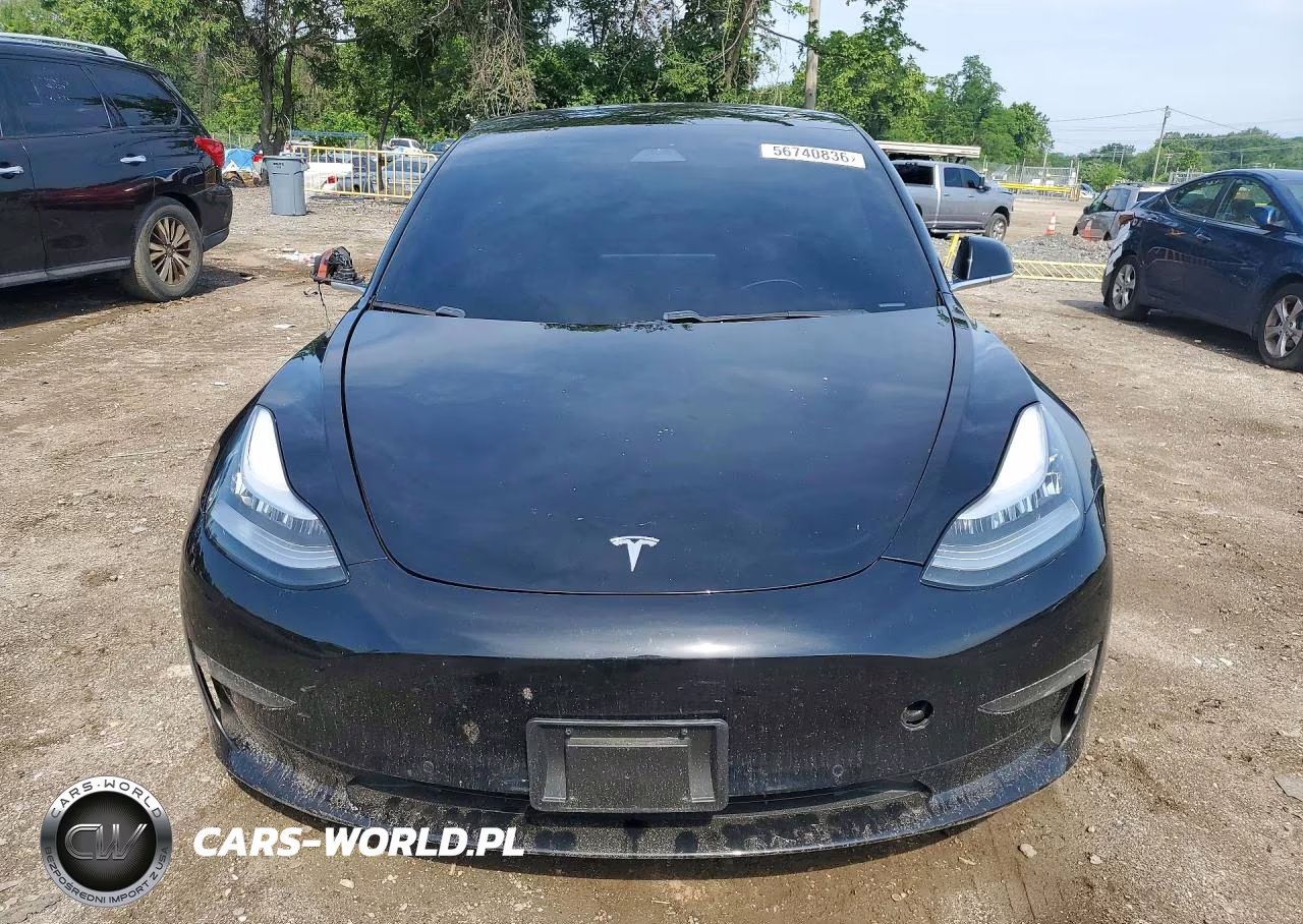 2019 Triumph Car Model 3 VIN:5YJ3E1EA2KF395390 - 5