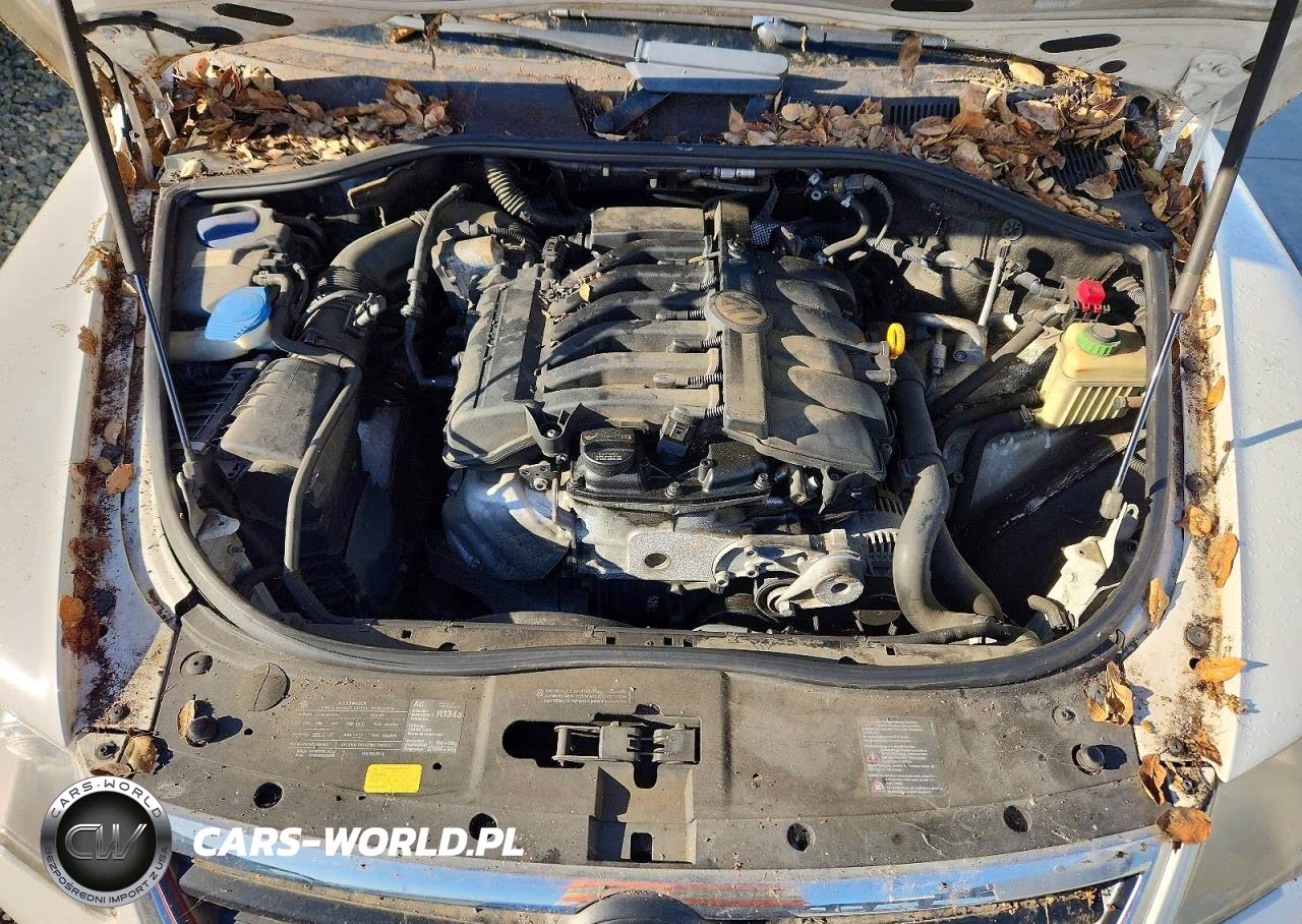 2010 Volkswagen Touareg V6 VIN:WVGBF7A9XAD000817 - 11