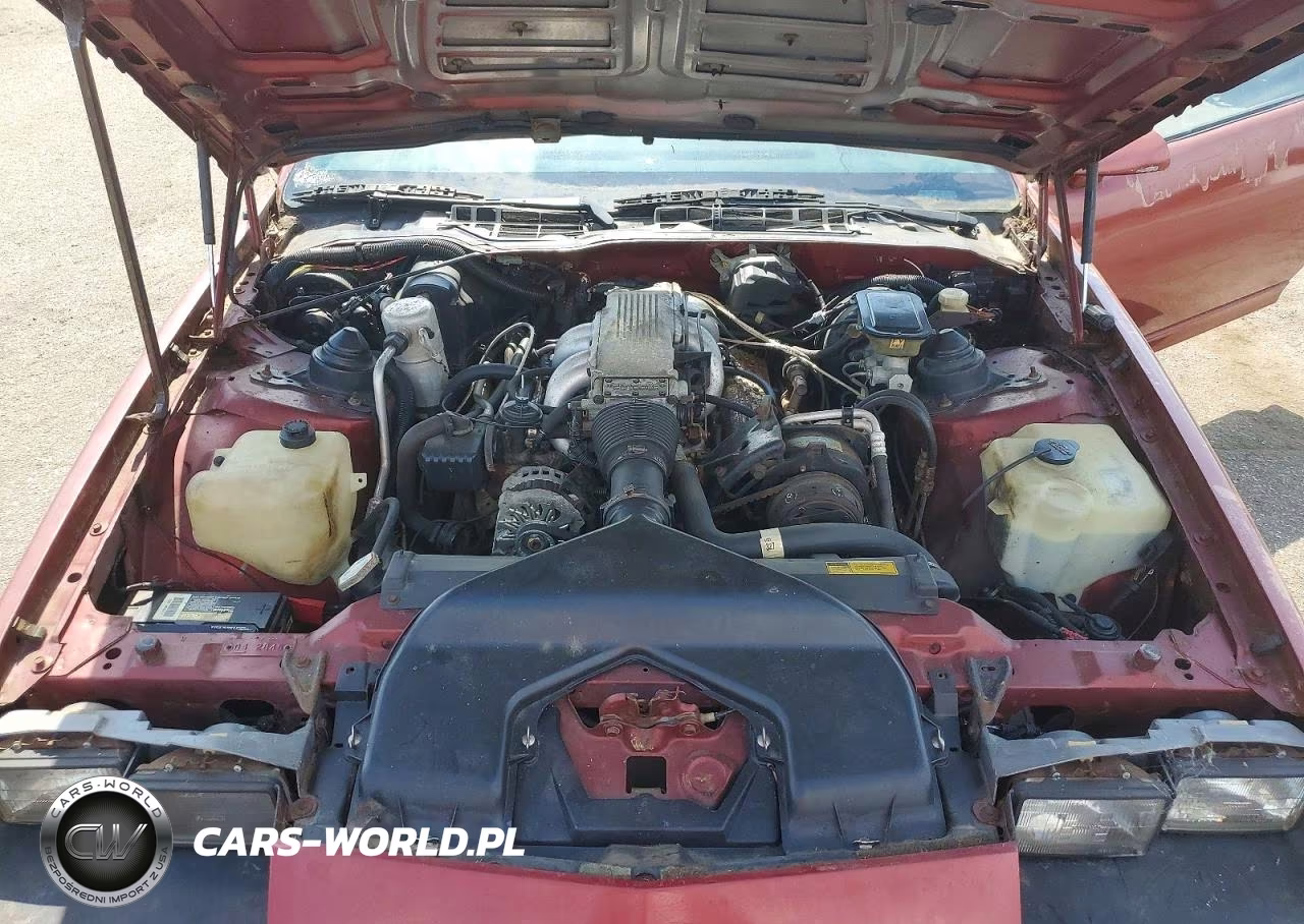 1987 Chevrolet Camaro VIN:1G1FP21F8HL125982 - 11