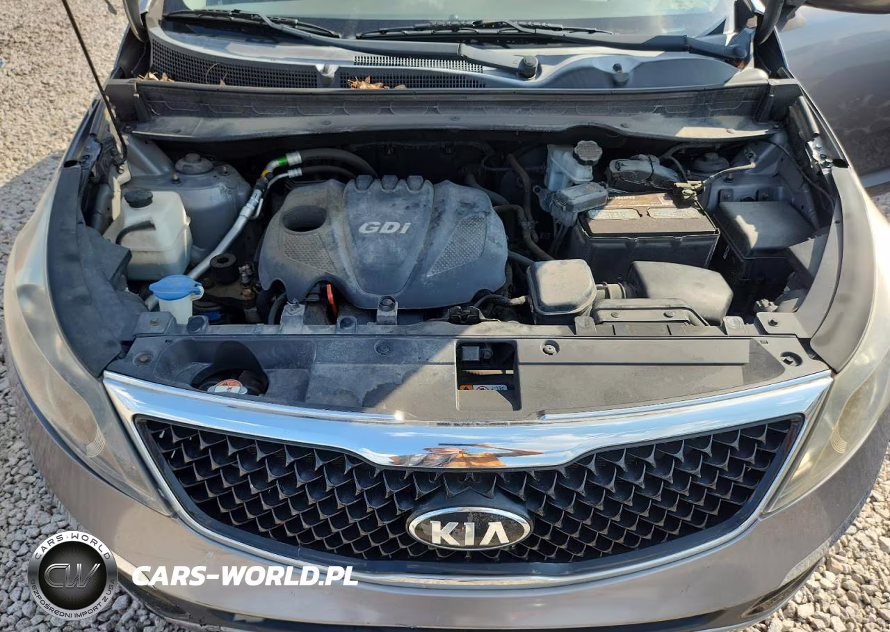 2014 Kia Sportage Lx VIN:KNDPB3AC5E7569802 - 12