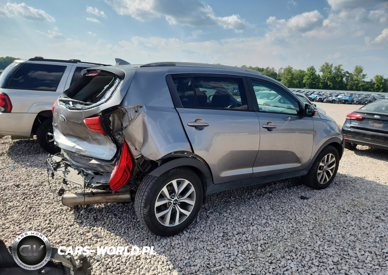 2014 Kia Sportage Lx VIN:KNDPB3AC5E7569802 - 3
