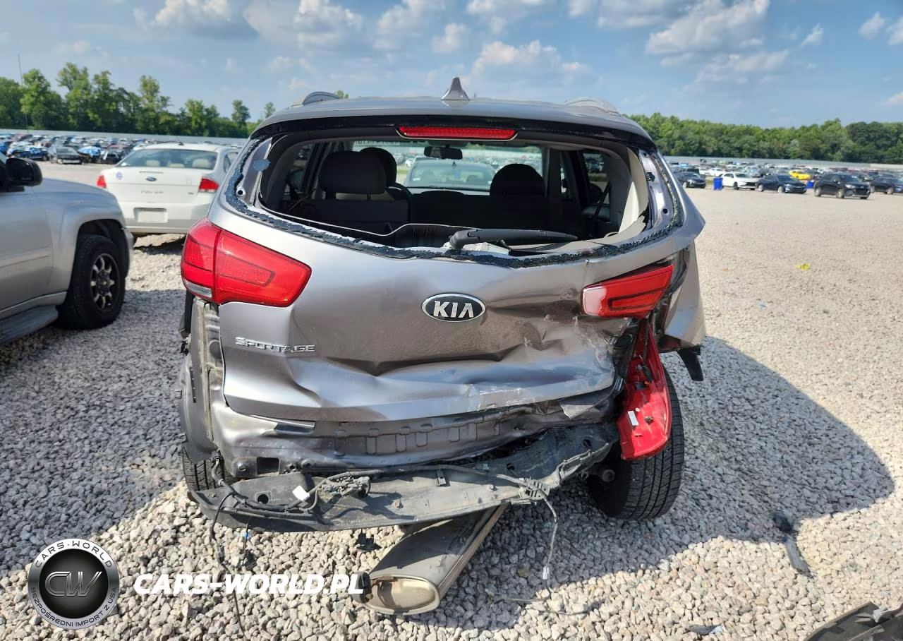 2014 Kia Sportage Lx VIN:KNDPB3AC5E7569802 - 6
