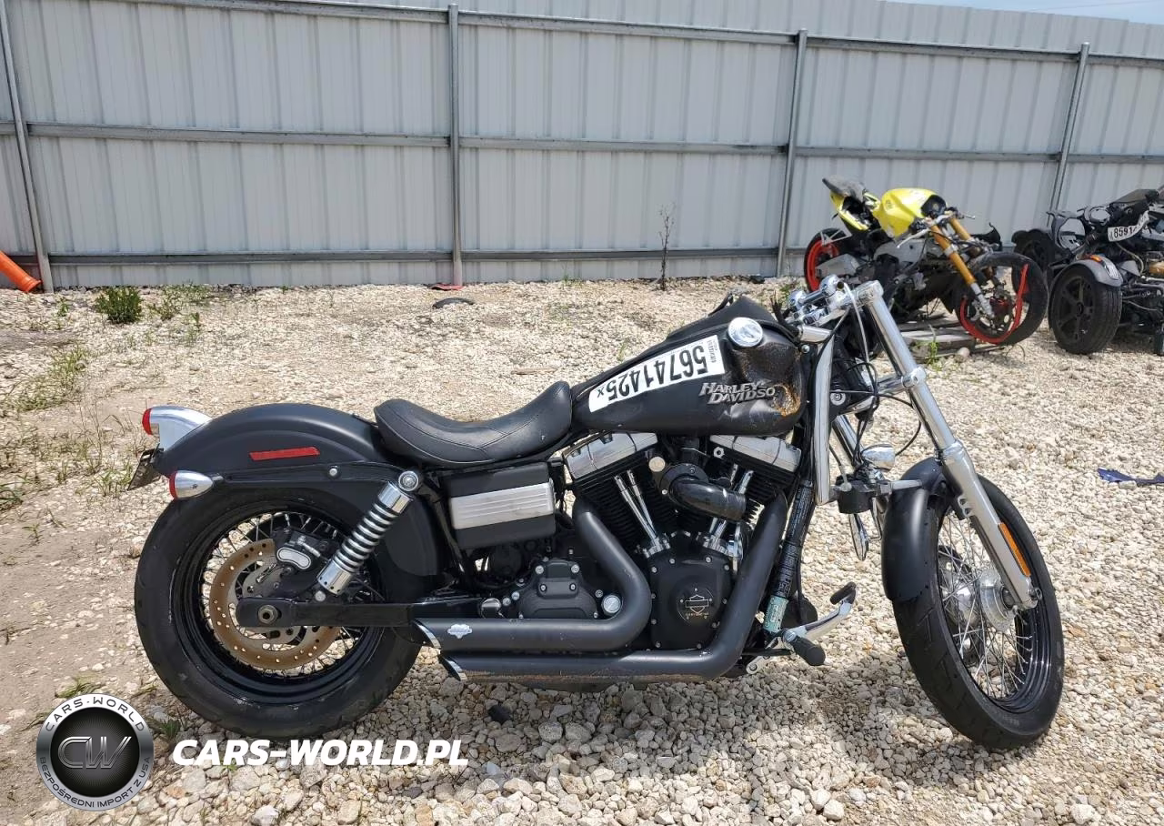 2011 Hd Mc – zdjęcie 1 z 9