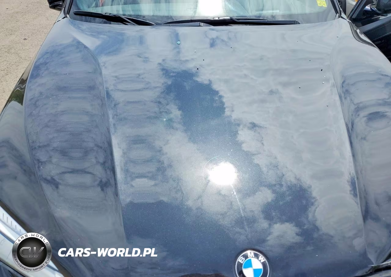 2017 BMW X6 xDrive35I VIN:5UXKU2C59H0N84358 - 11