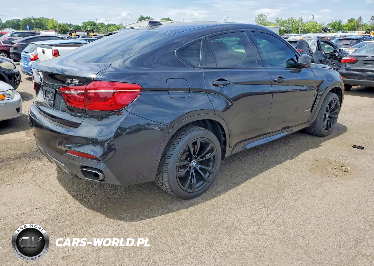 2017 BMW X6 xDrive35I VIN:5UXKU2C59H0N84358 - 3