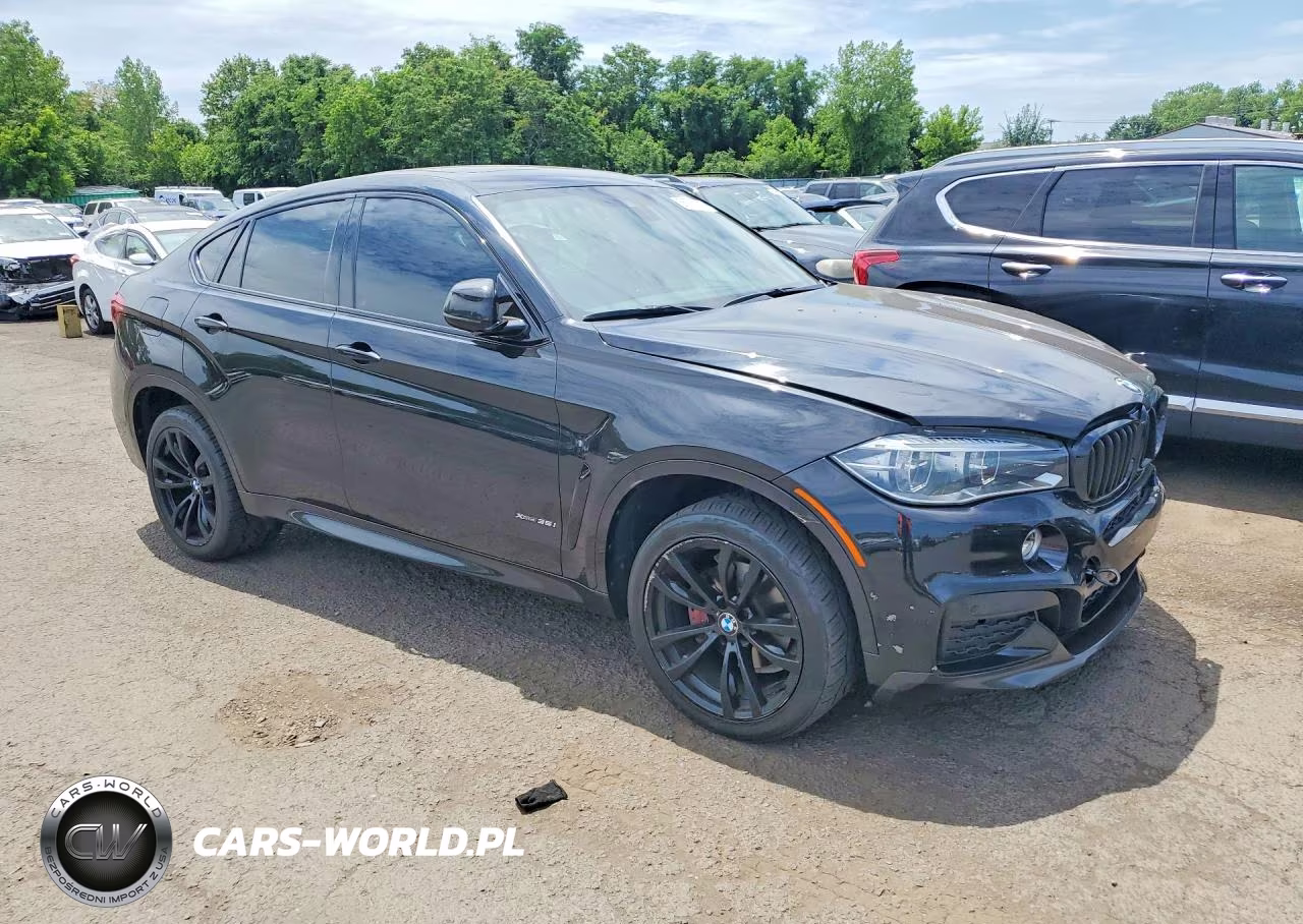 2017 BMW X6 xDrive35I VIN:5UXKU2C59H0N84358 - 4