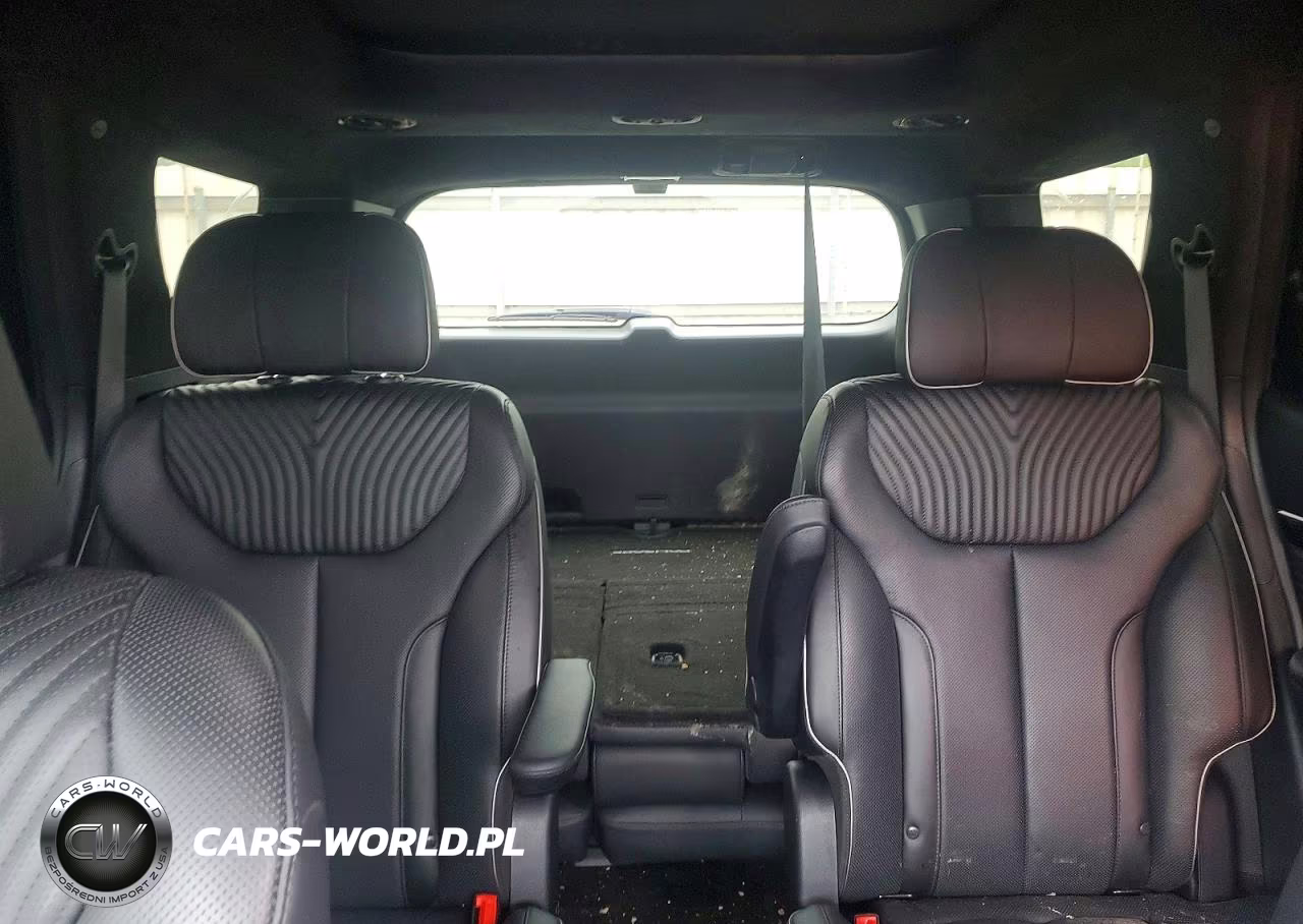 2023 Hyundai Palisade Calligraphy VIN:KM8R7DGE3PU607357 - 10