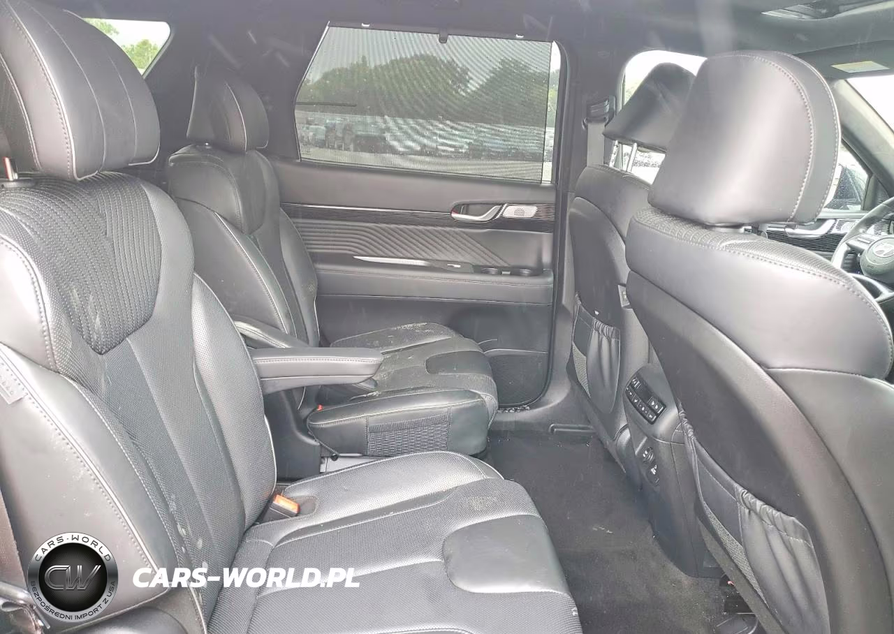2023 Hyundai Palisade Calligraphy VIN:KM8R7DGE3PU607357 - 11