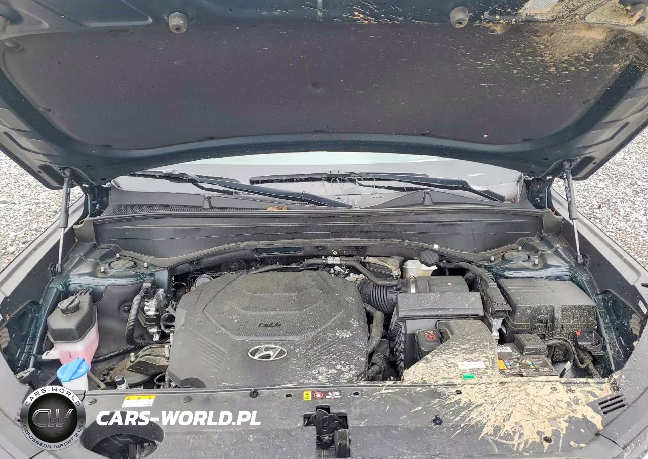 2023 Hyundai Palisade Calligraphy VIN:KM8R7DGE3PU607357 - 12