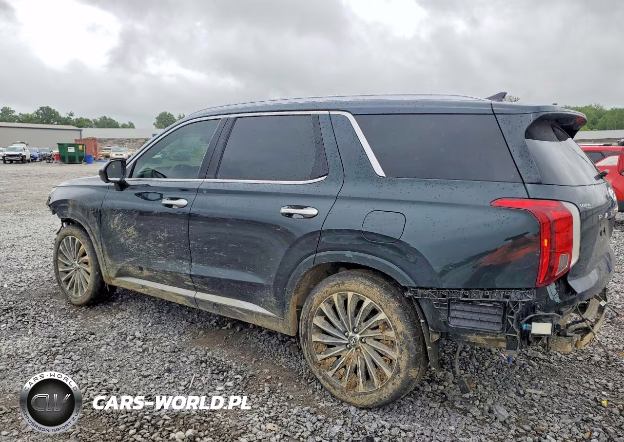 2023 Hyundai Palisade Calligraphy VIN:KM8R7DGE3PU607357 - 2