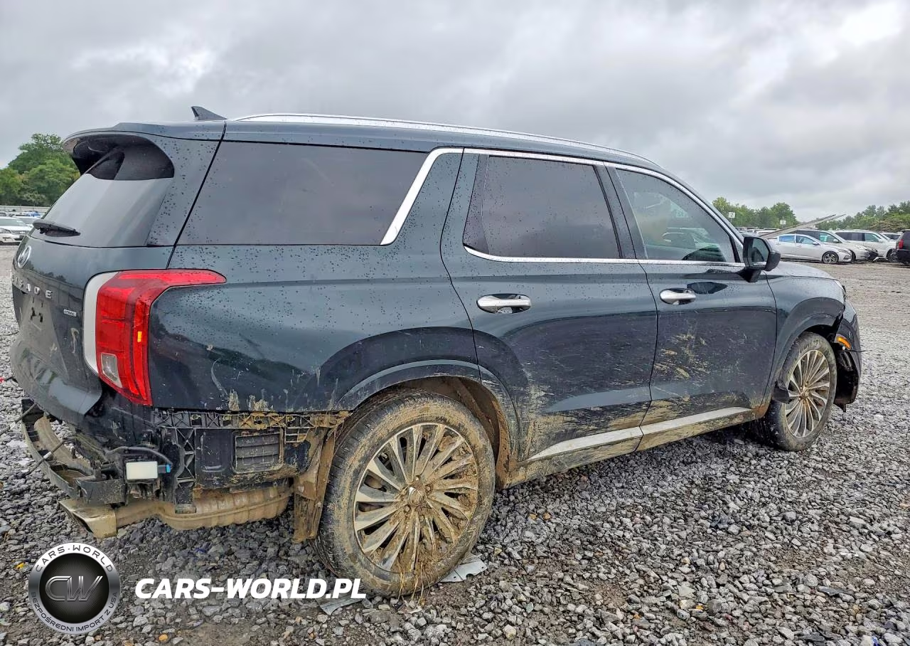 2023 Hyundai Palisade Calligraphy VIN:KM8R7DGE3PU607357 - 3