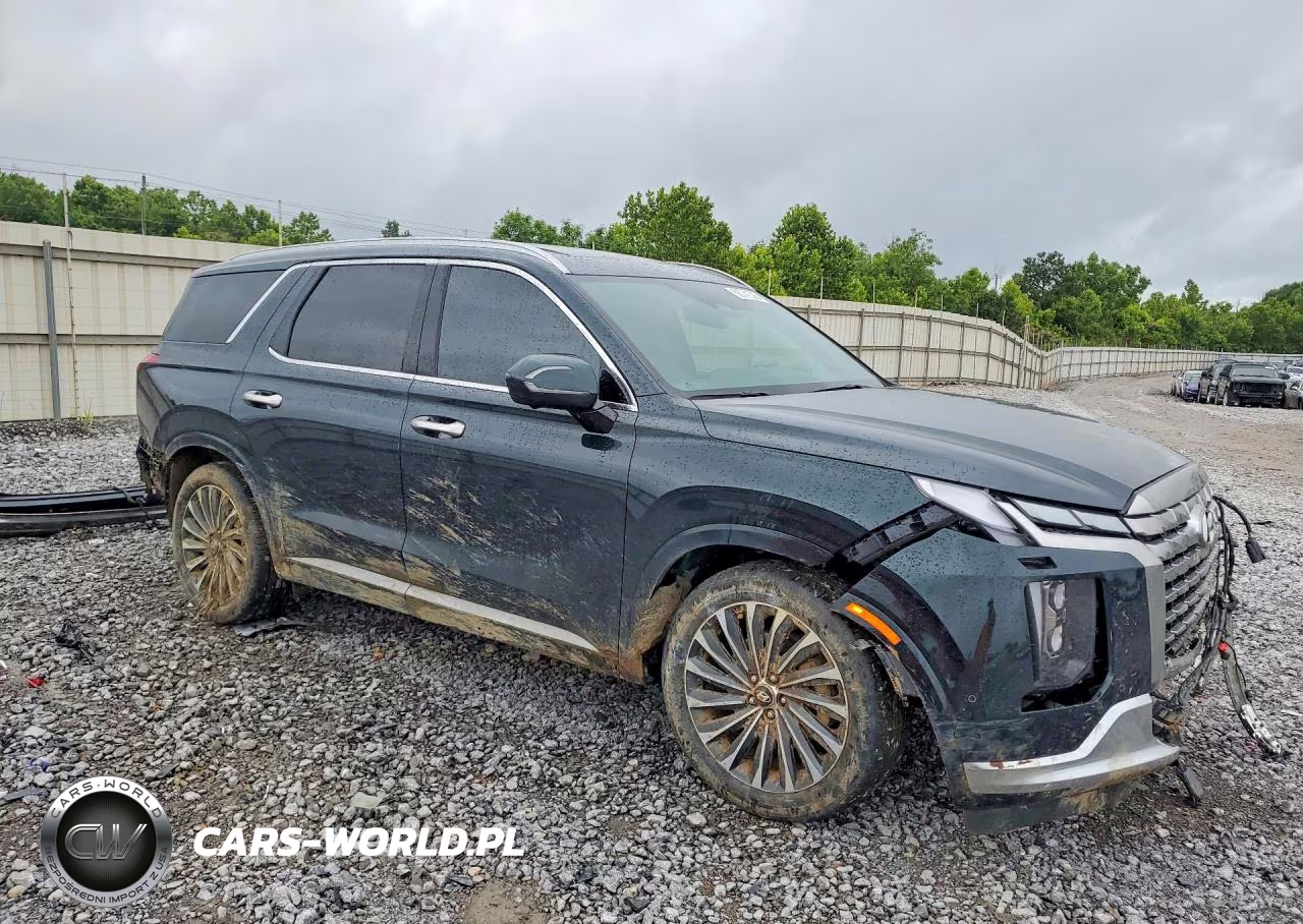 2023 Hyundai Palisade Calligraphy VIN:KM8R7DGE3PU607357 - 4