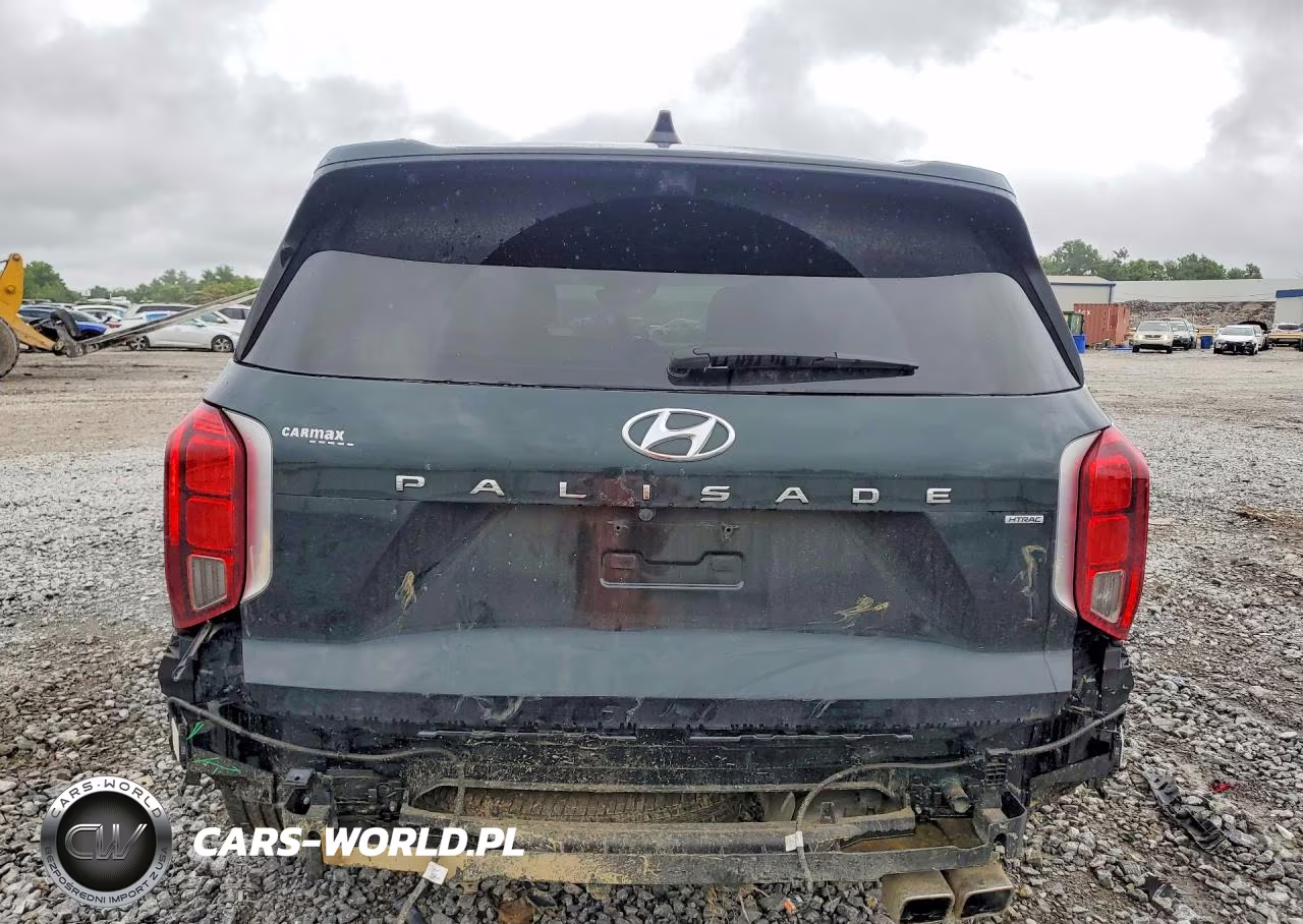 2023 Hyundai Palisade Calligraphy VIN:KM8R7DGE3PU607357 - 6