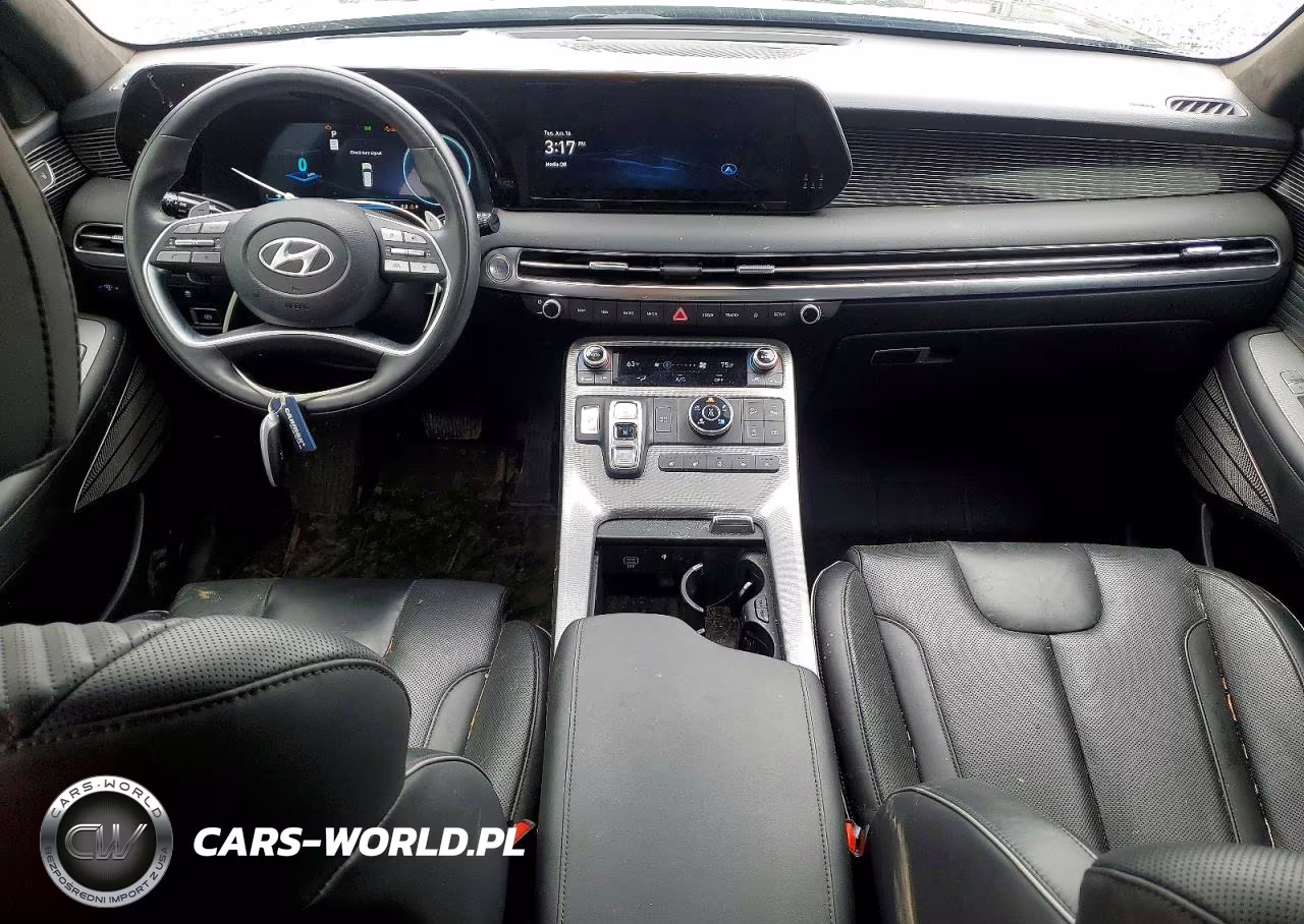 2023 Hyundai Palisade Calligraphy VIN:KM8R7DGE3PU607357 - 8