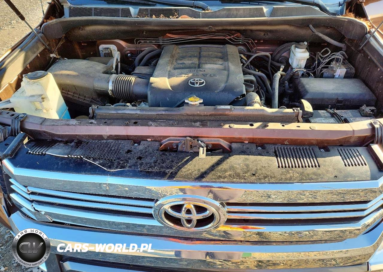 2017 Toyota Tundra 1794 Edition VIN:5TFAY5F1XHX600778 - 11