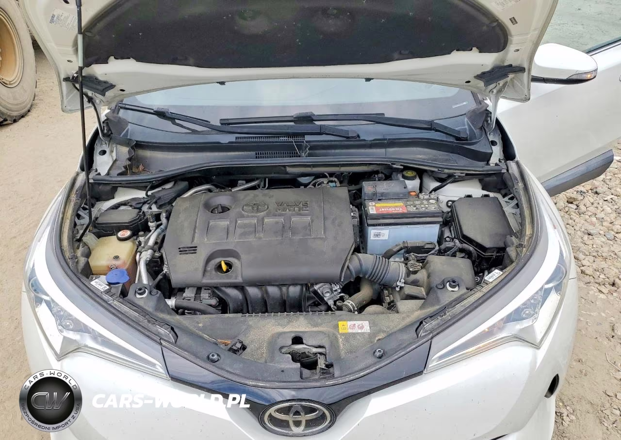 2019 Toyota C-Hr Limited VIN:NMTKHMBX3KR082761 - 12