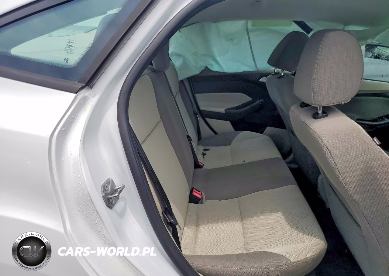 2014 Ford Focus Se VIN:1FADP3F28EL309816 - 10
