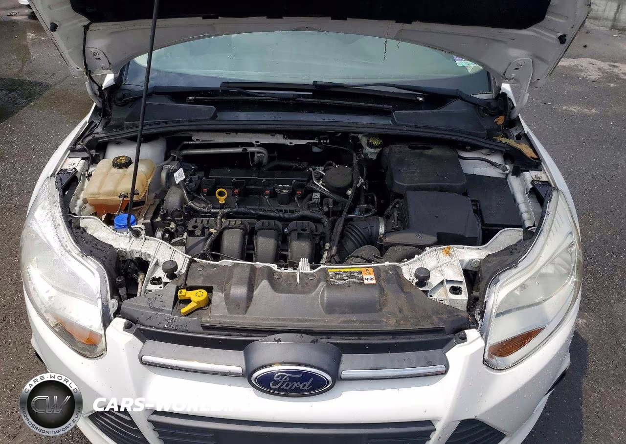 2014 Ford Focus Se VIN:1FADP3F28EL309816 - 11