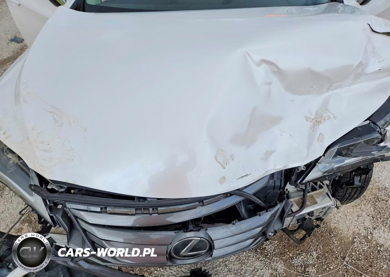 2017 Lexus Rx 350 Base VIN:2T2ZZMCA2HC046354 - 11