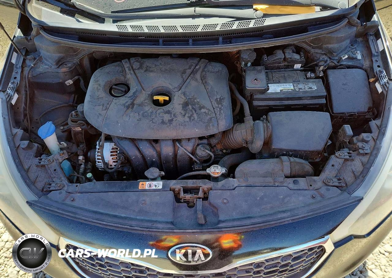 2016 Kia Forte Lx VIN:KNAFK4A61G5611146 - 11