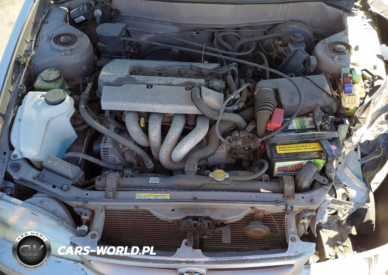 1999 Toyota Corolla Ve VIN:1NXBR12E9XZ185273 - 11