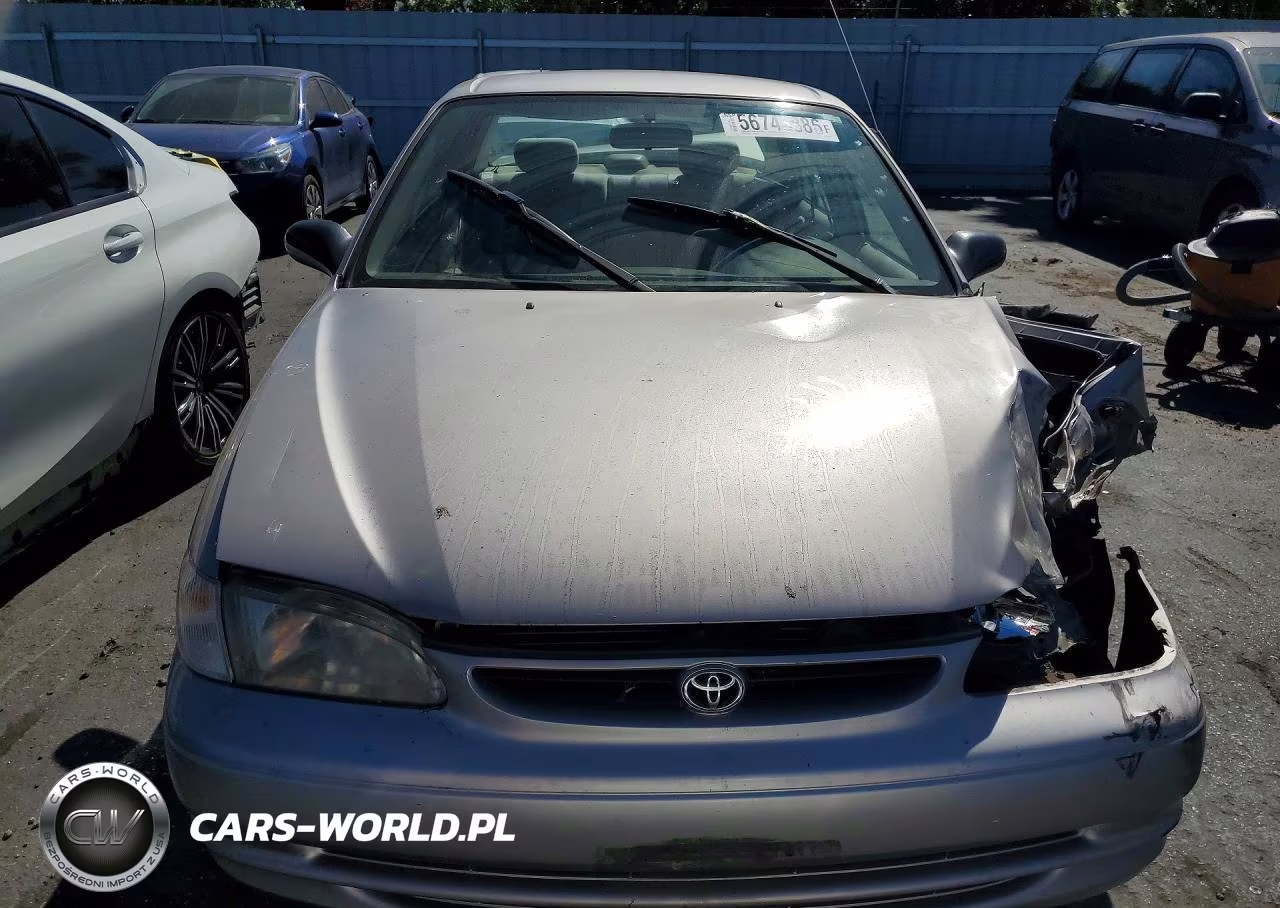 1999 Toyota Corolla Ve VIN:1NXBR12E9XZ185273 - 5