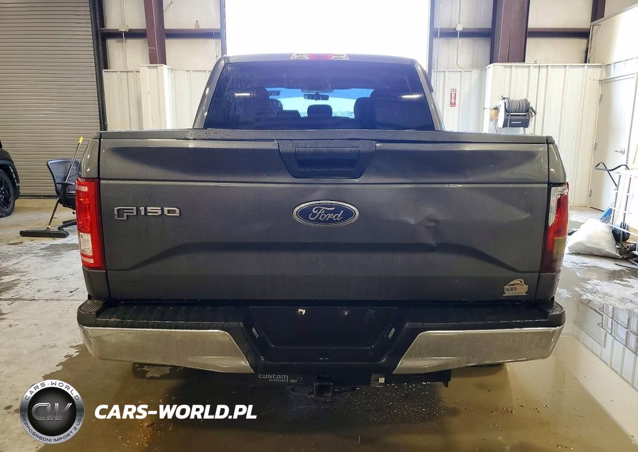 2017 Ford F150 Supercrew VIN:1FTEW1EG1HFB11603 - 6