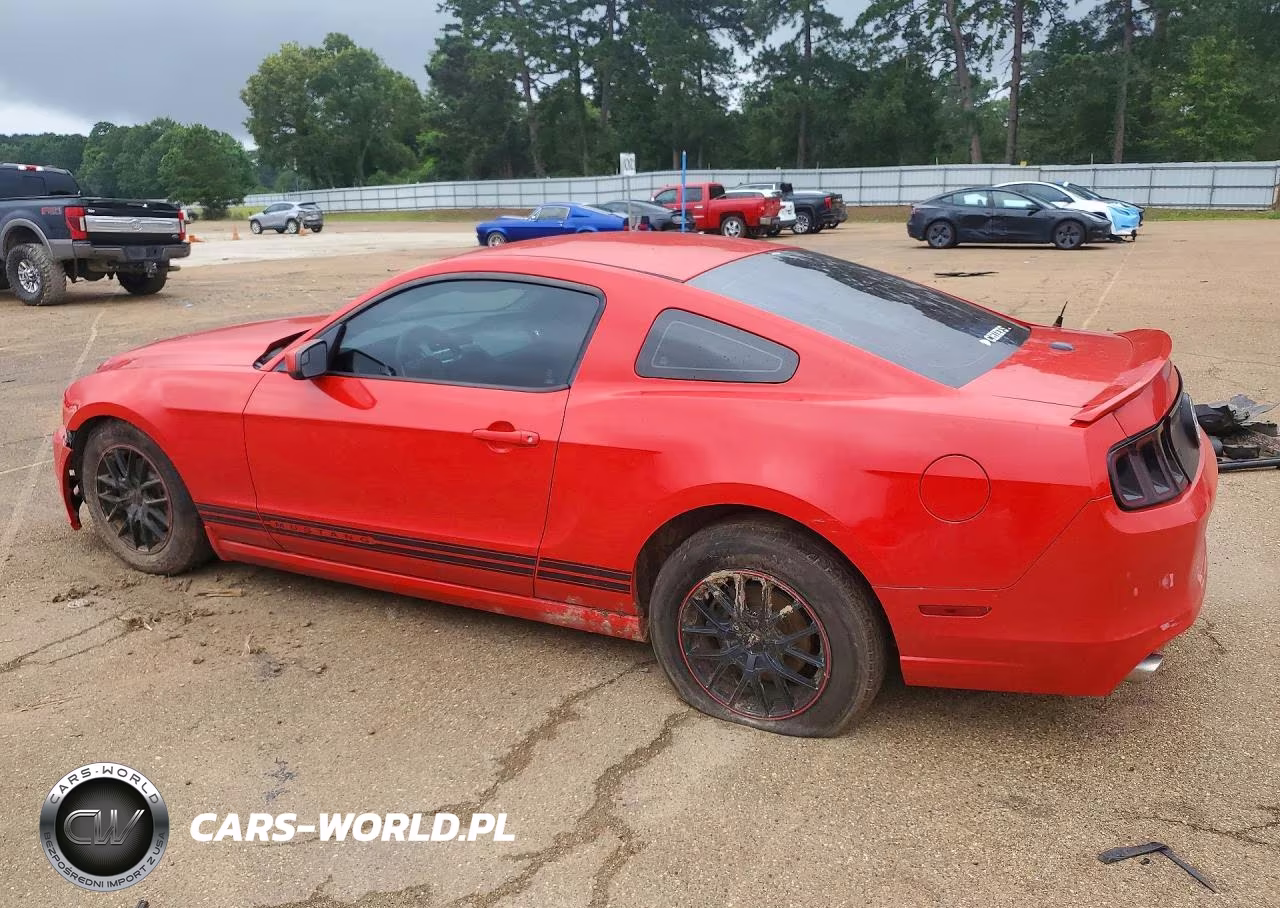 2013 Ford Mustang VIN:1ZVBP8AM3D5239567 - 2