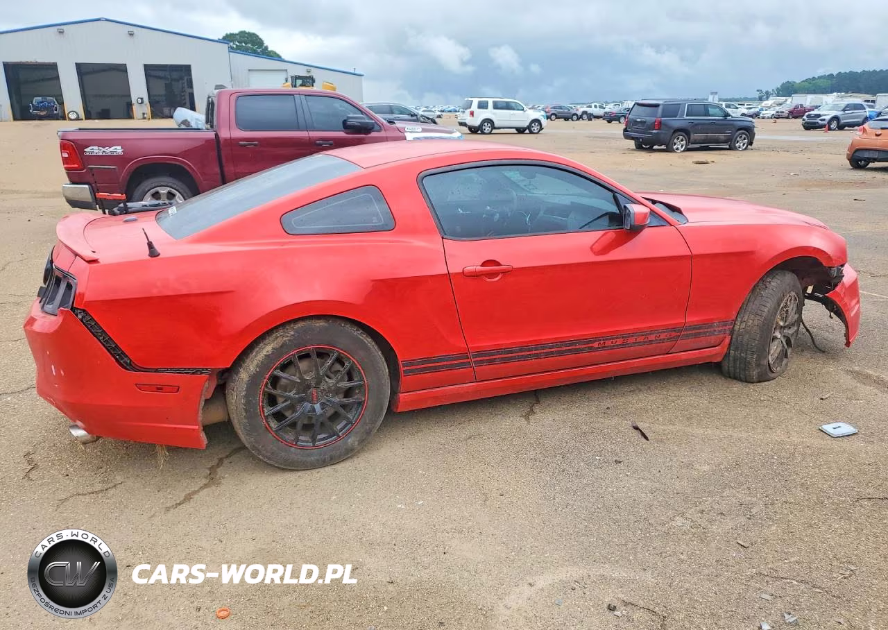 2013 Ford Mustang VIN:1ZVBP8AM3D5239567 - 3