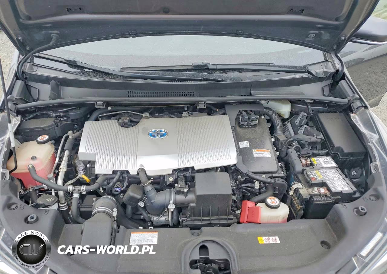 2019 Toyota Prius Le VIN:JTDKARFU6K3076070 - 12