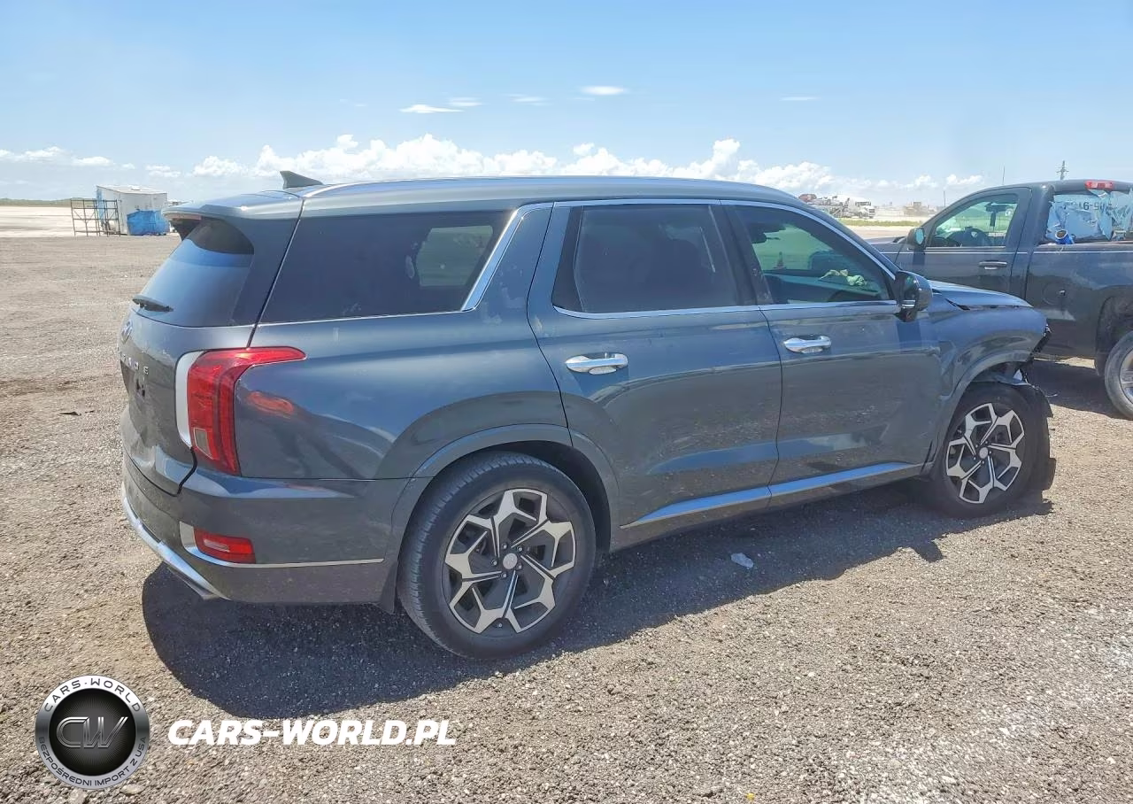 2022 Hyundai Palisade Calligraphy VIN:KM8R74HE6NU342882 - 3