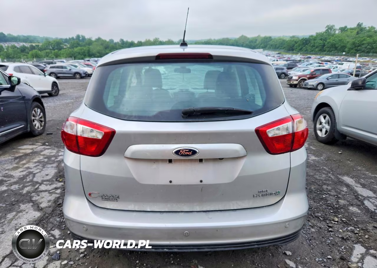 2013 Ford C-Max Sel VIN:1FADP5BU1DL520678 - 6