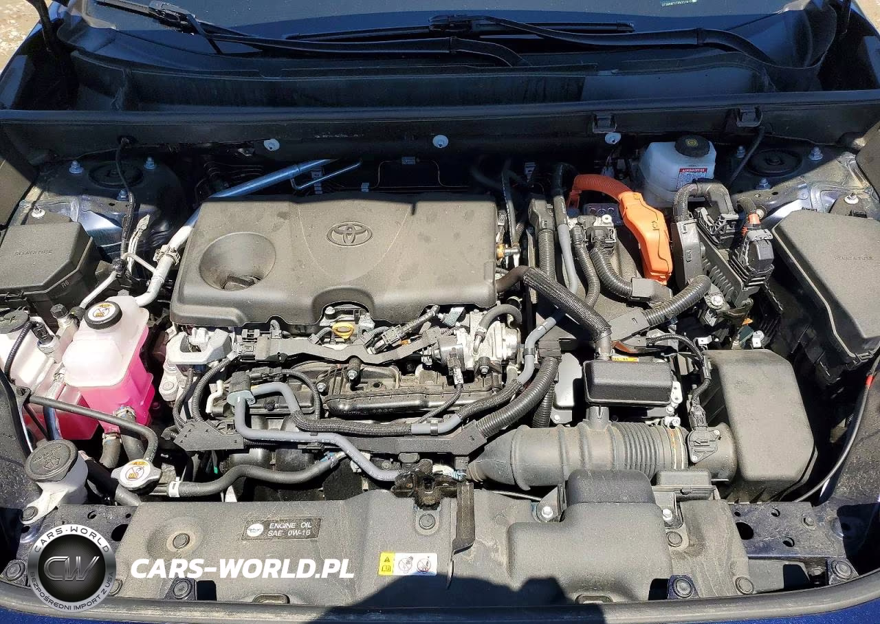 2024 Toyota Rav4 Hybrid Xle VIN:2T3RWRFV7RW251913 - 12