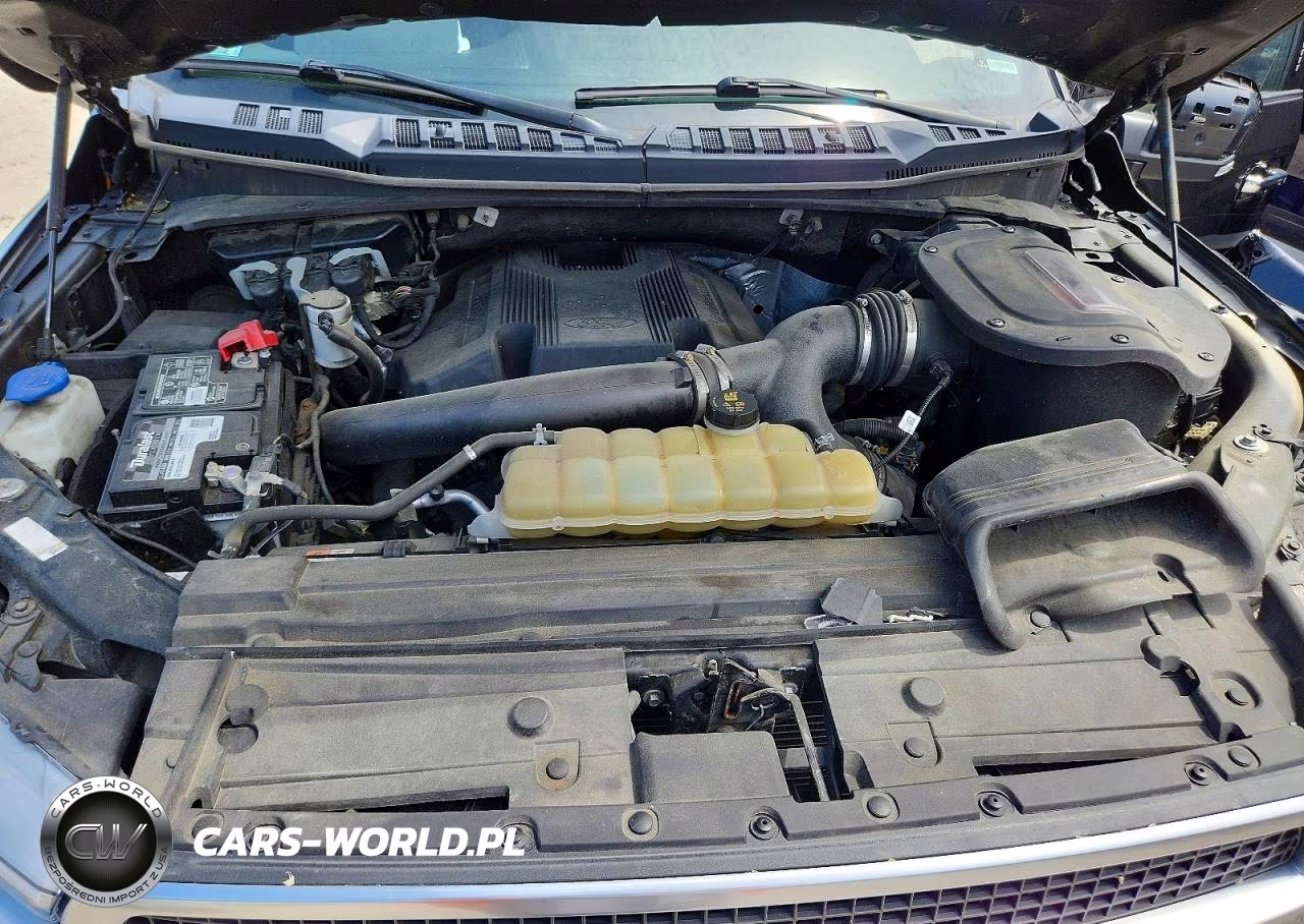2020 Ford F150 Supercrew VIN:1FTEW1E44LFA26544 - 11