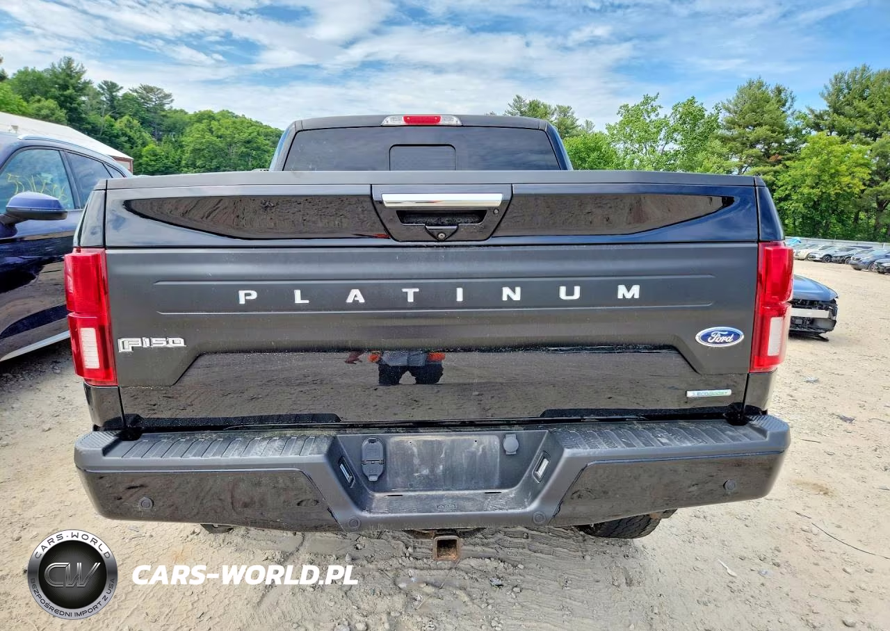 2020 Ford F150 Supercrew VIN:1FTEW1E44LFA26544 - 6