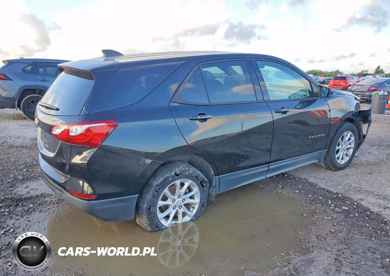 2019 Chevrolet Equinox Ls VIN:3GNAXHEV2KL247598 - 3