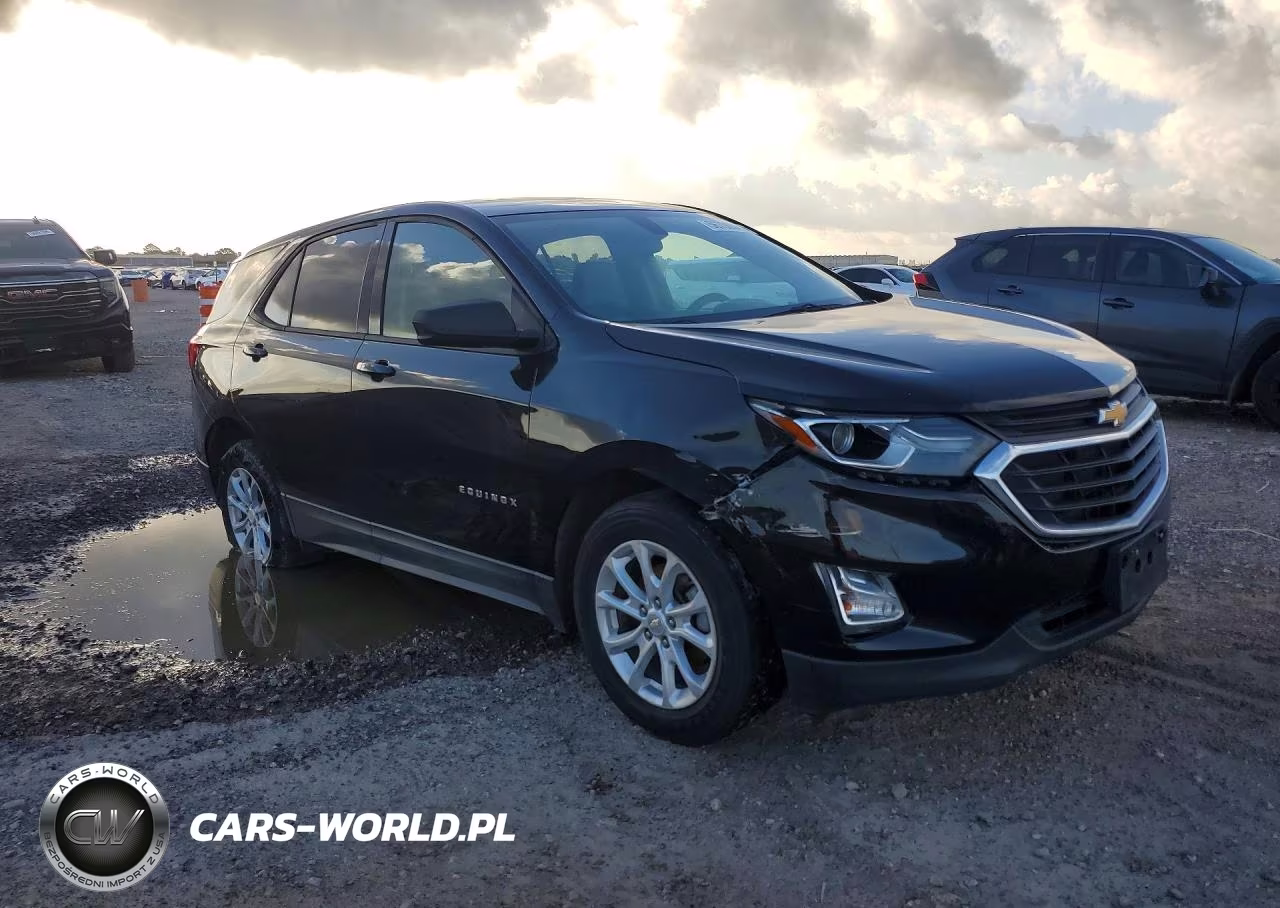 2019 Chevrolet Equinox Ls VIN:3GNAXHEV2KL247598 - 4