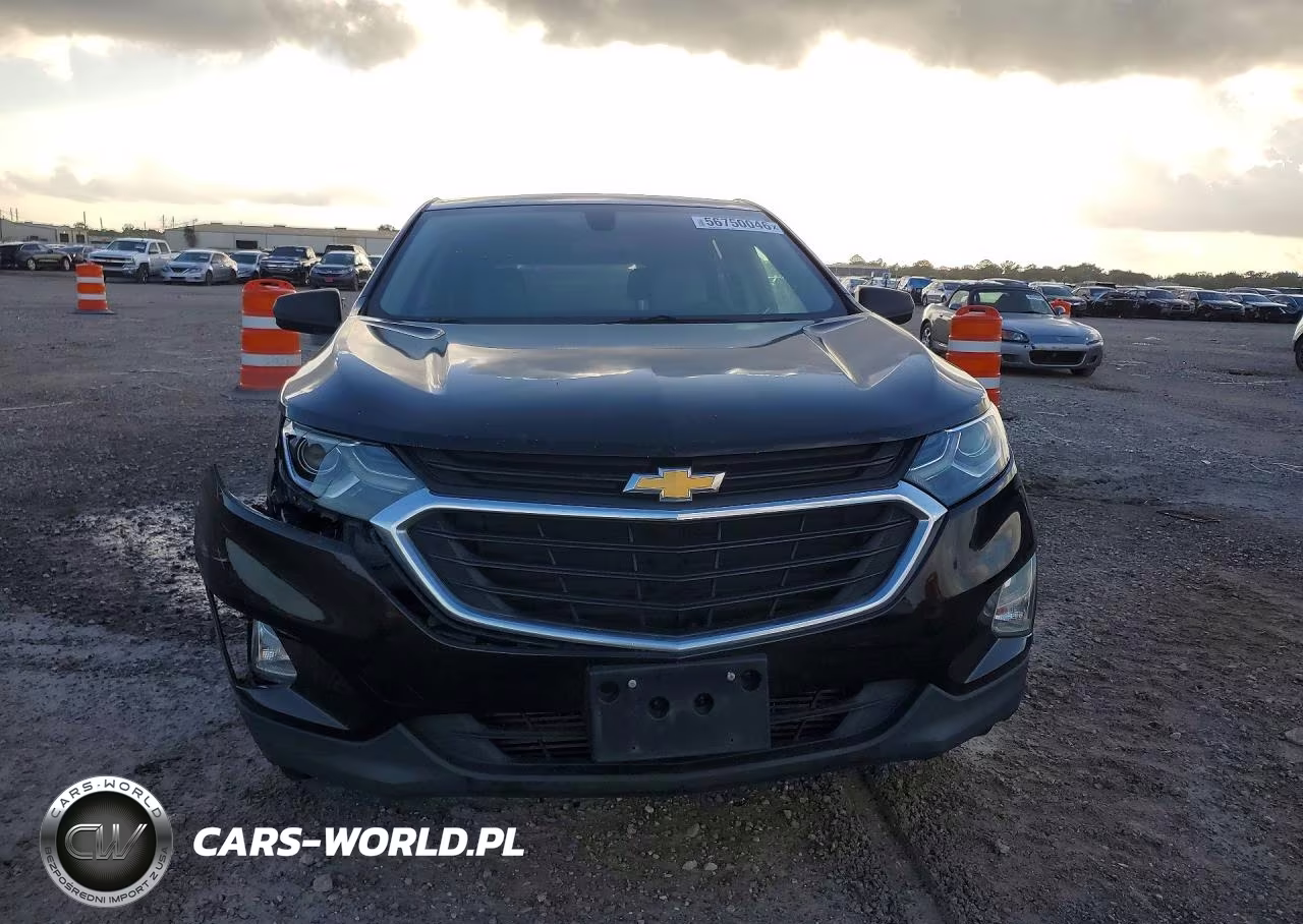 2019 Chevrolet Equinox Ls VIN:3GNAXHEV2KL247598 - 5