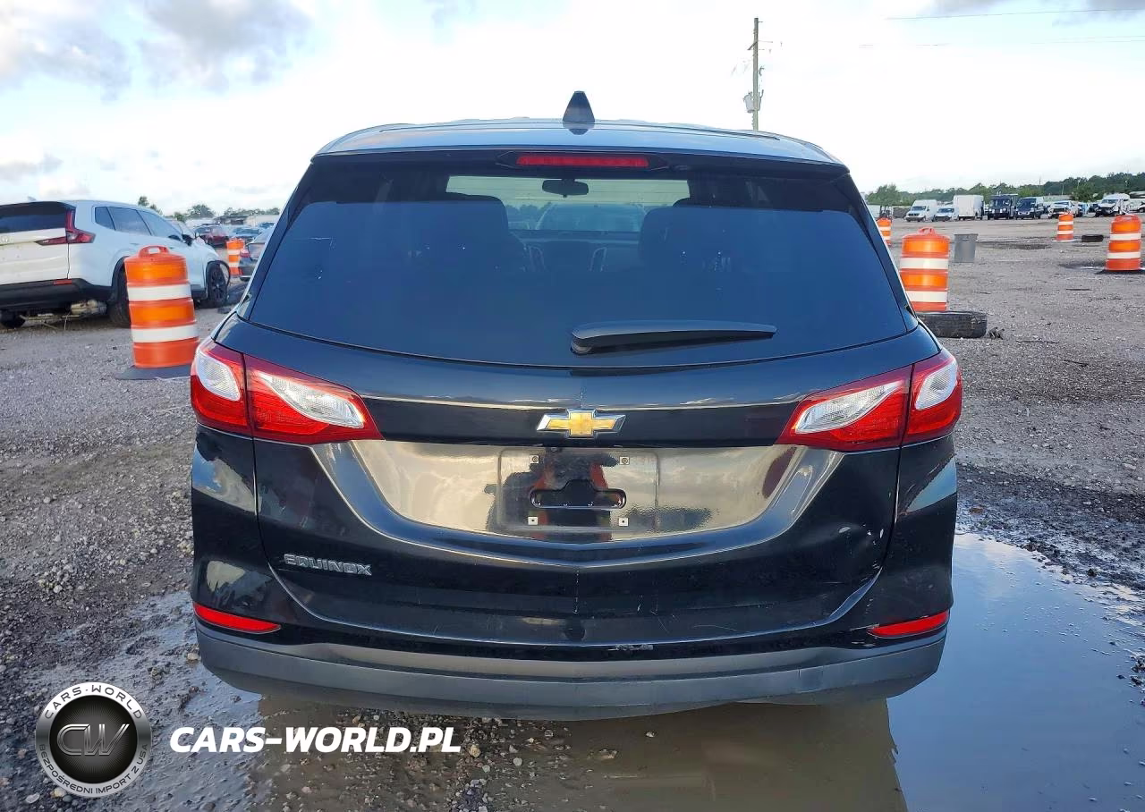 2019 Chevrolet Equinox Ls VIN:3GNAXHEV2KL247598 - 6