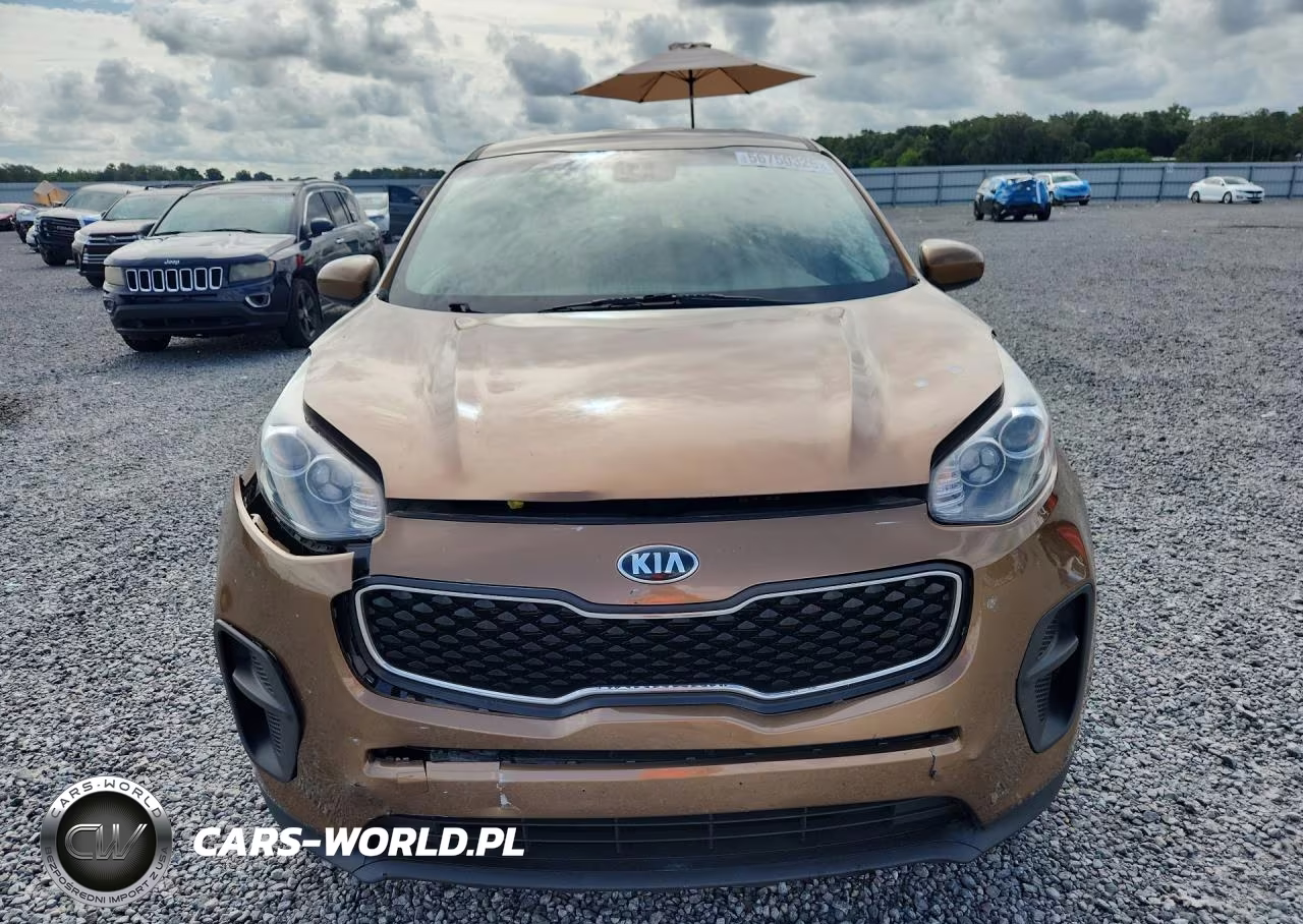 2018 Kia Sportage Lx VIN:KNDPM3AC5J7463354 - 5