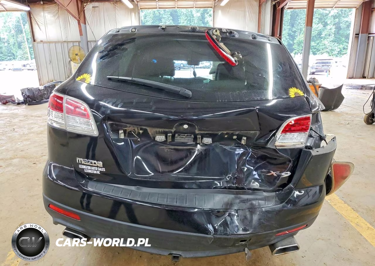 2007 Mazda Cx-9 VIN:JM3TB38Y070118182 - 6