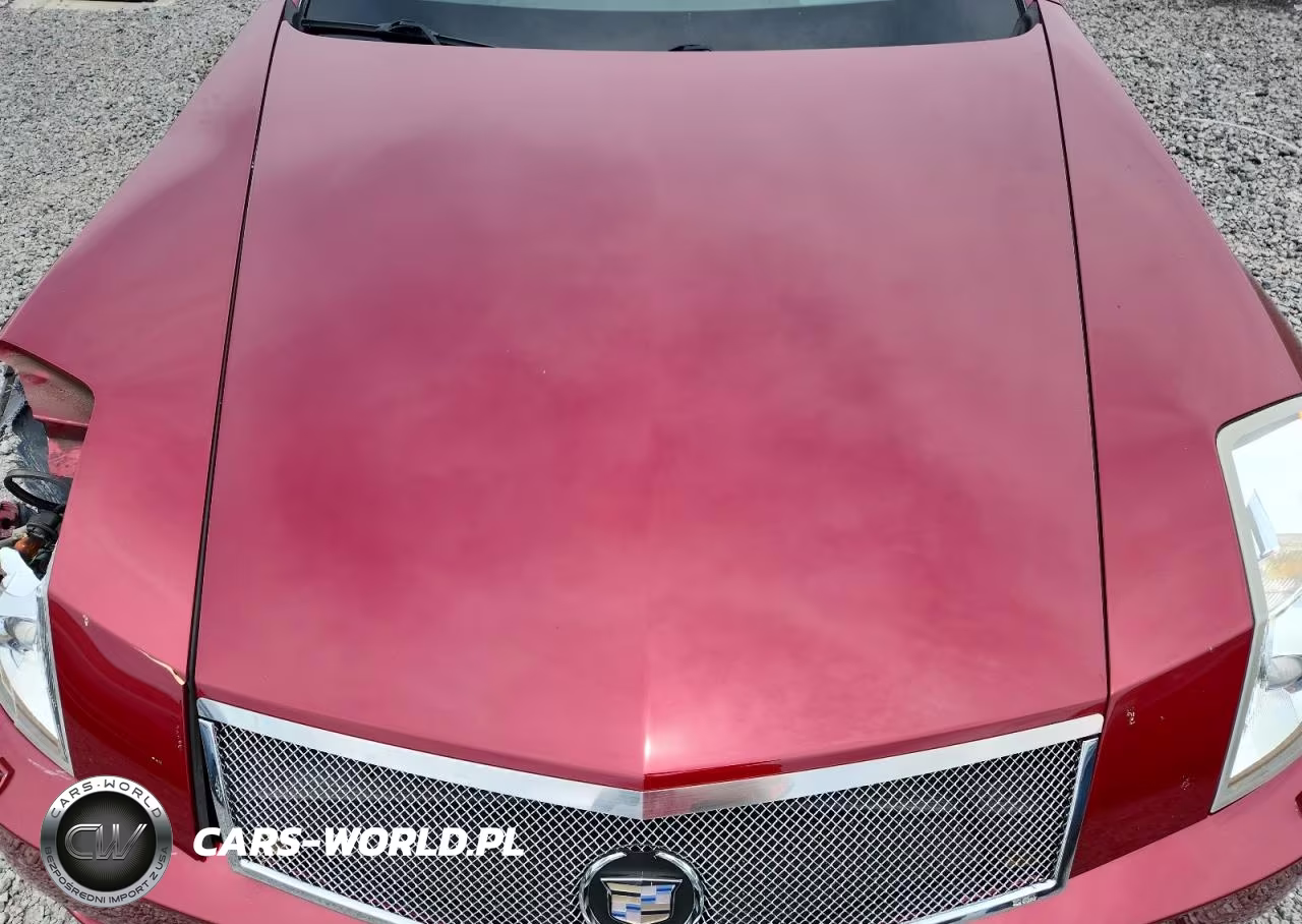 2006 Cadillac Xlr VIN:1G6YV36A265602371 - 11