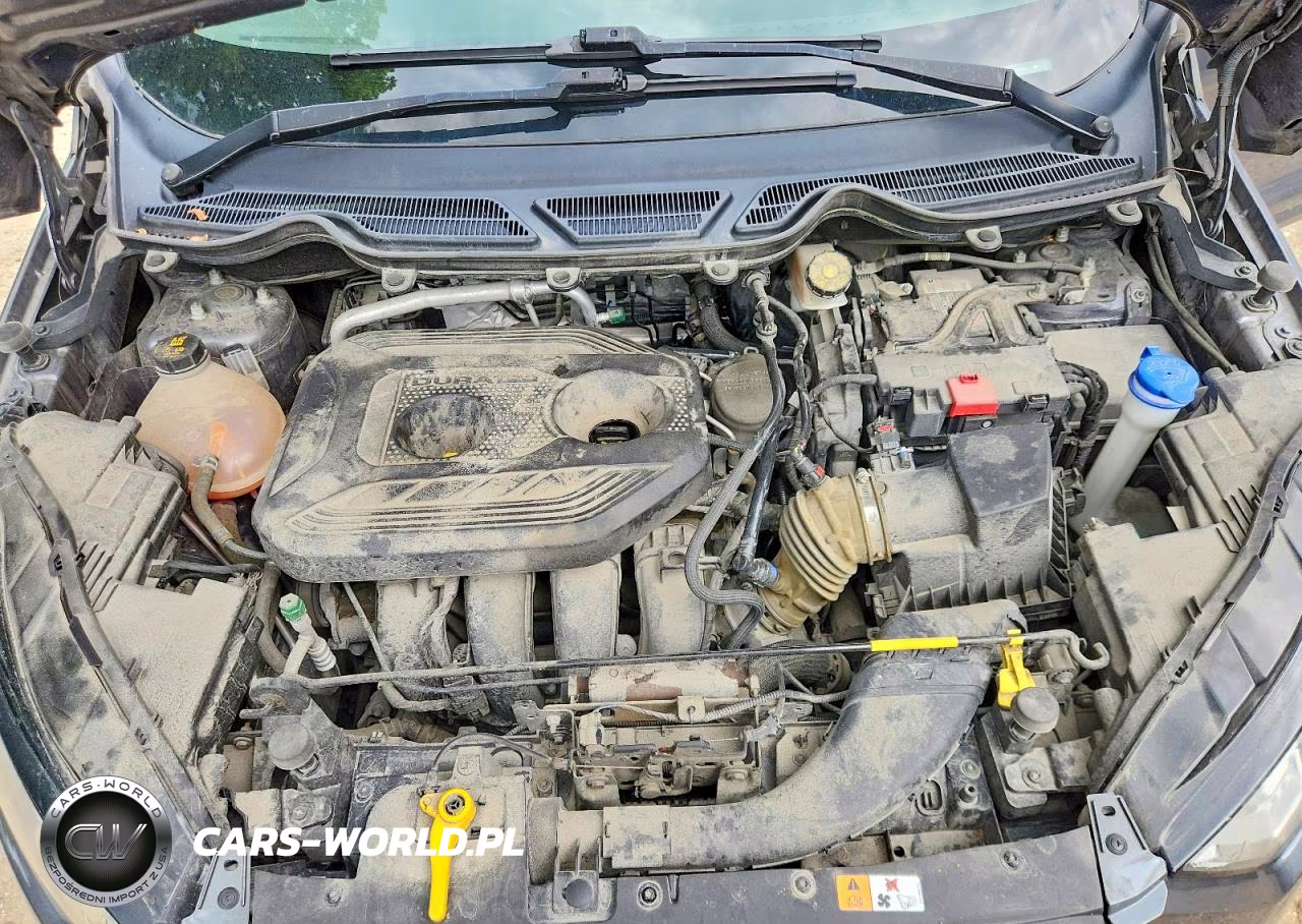 2019 Ford Ecosport Se VIN:MAJ6S3GL5KC284366 - 12