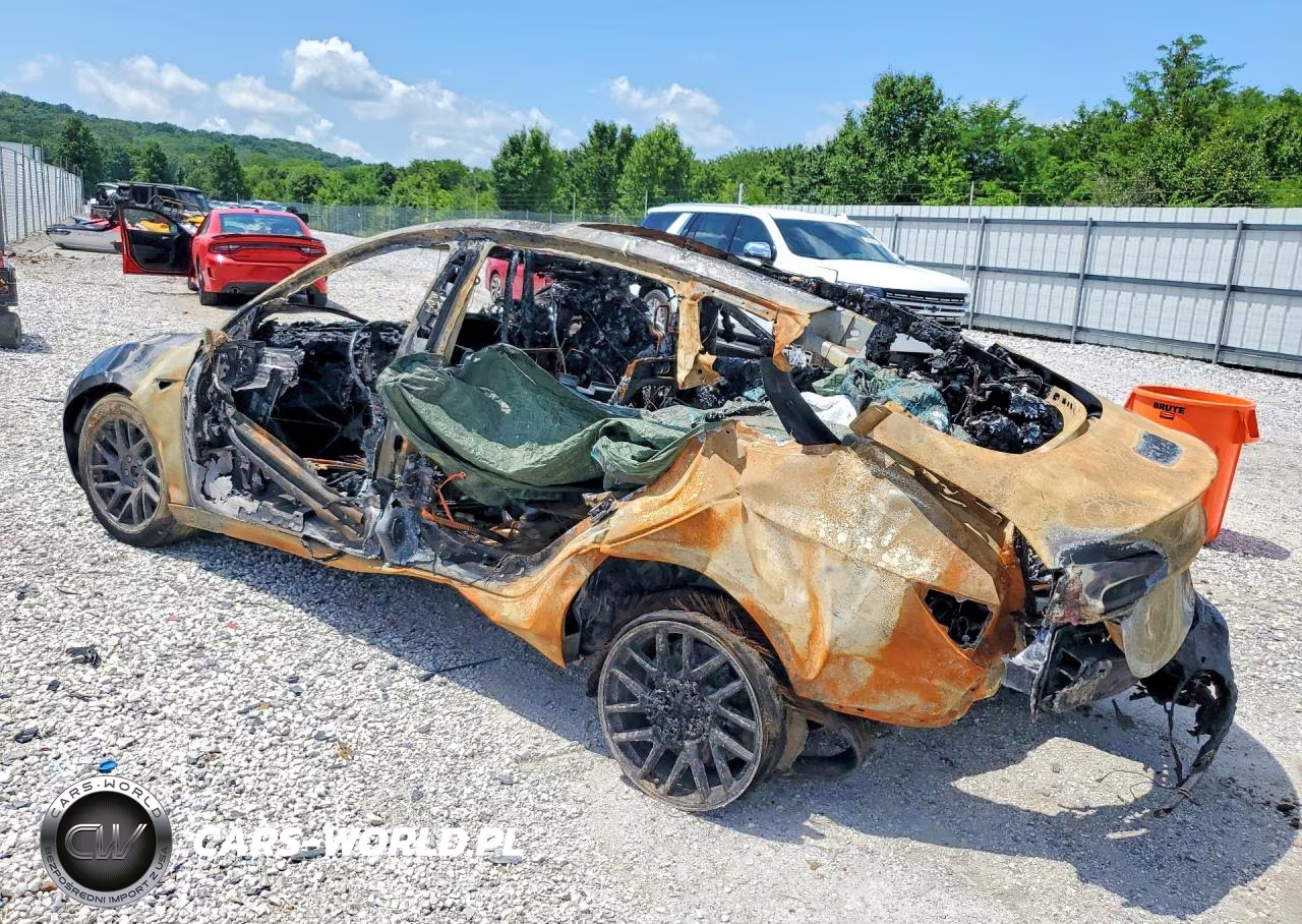 2025 Tesla Model 3 VIN:5YJ3E1EB6SF980823 - 2