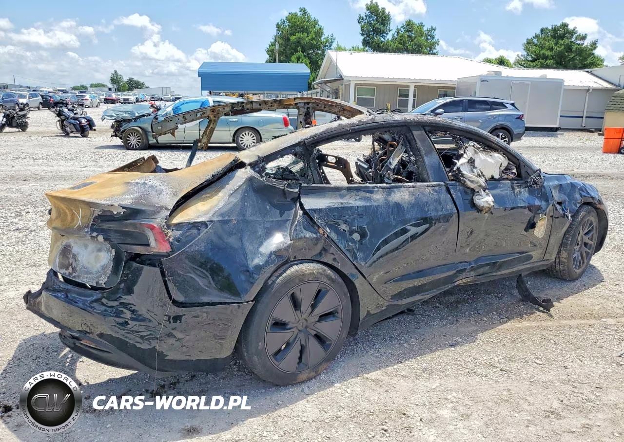 2025 Tesla Model 3 VIN:5YJ3E1EB6SF980823 - 3