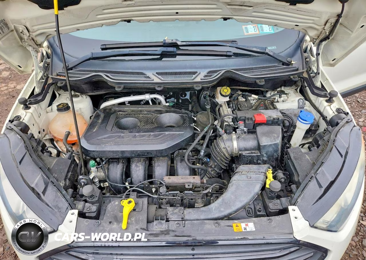 2020 Ford Ecosport S VIN:MAJ6S3FL5LC383577 - 12