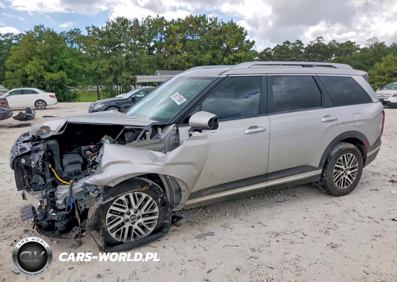 2026 Hyundai Palisade Sel Convenience VIN:KM8RG5S20TU044359 - 1