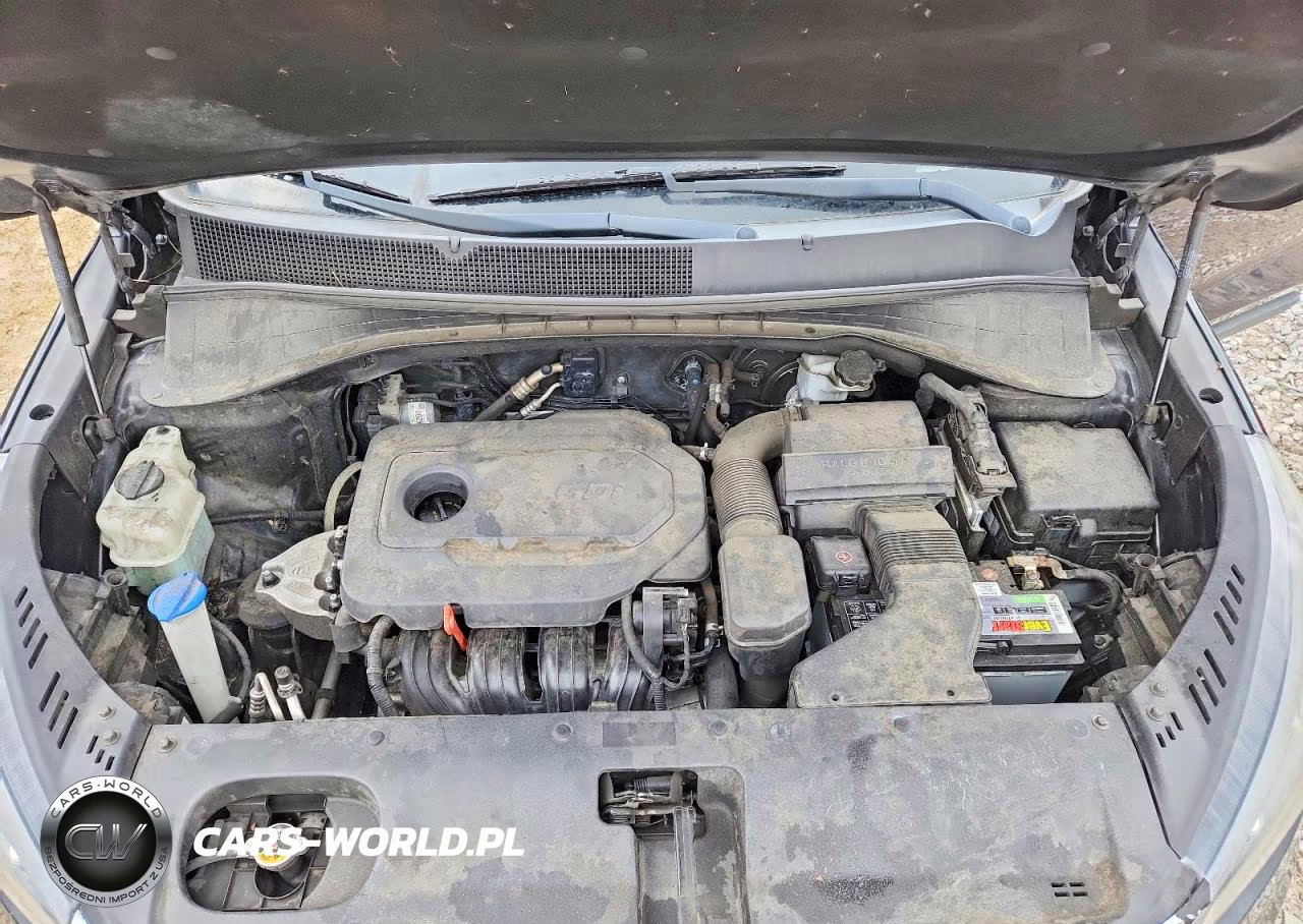 2019 Kia Sorento L VIN:5XYPG4A35KG567540 - 12