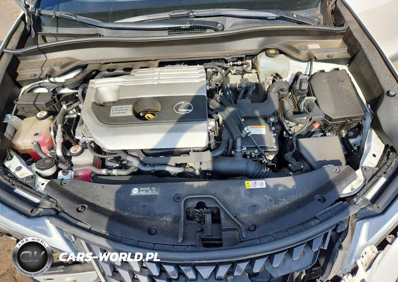 2019 Lexus Ux 250H VIN:JTHU9JBHXK2002263 - 11