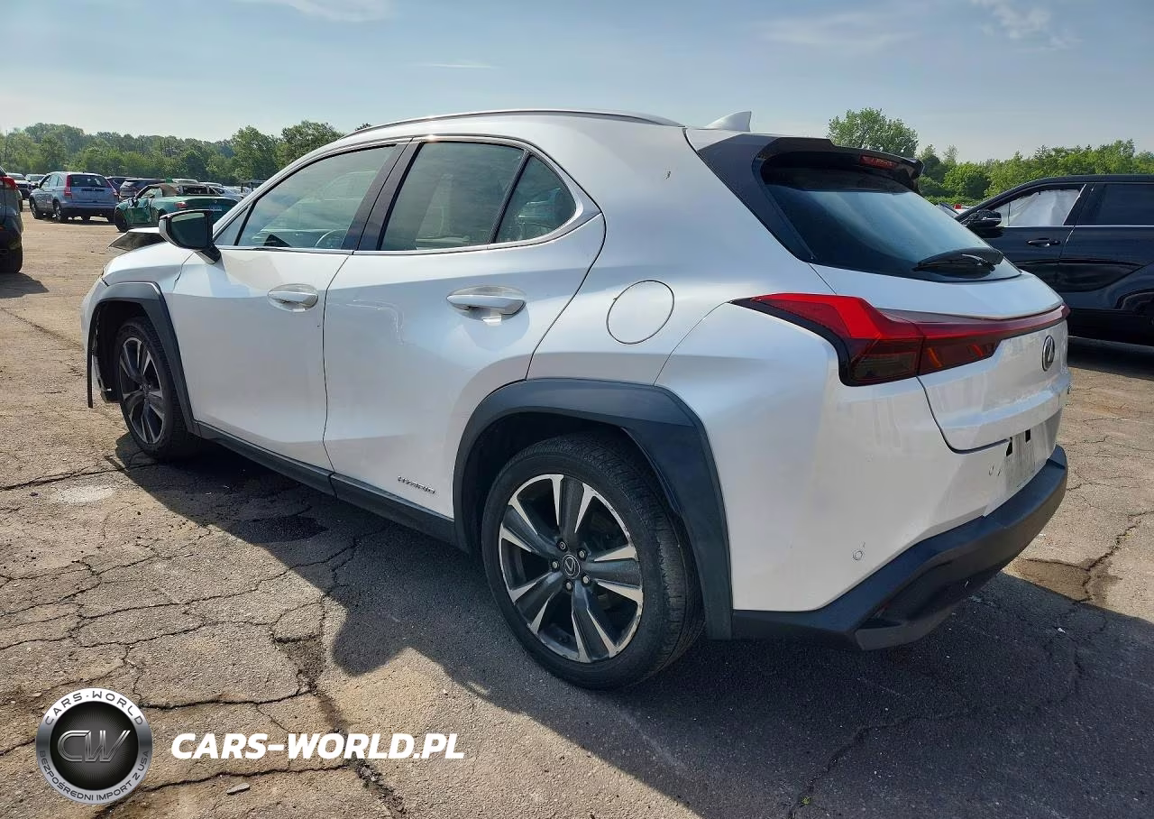 2019 Lexus Ux 250H VIN:JTHU9JBHXK2002263 - 2